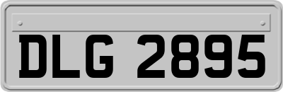 DLG2895