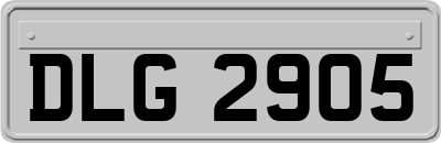 DLG2905