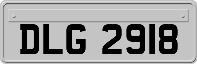 DLG2918