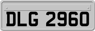 DLG2960