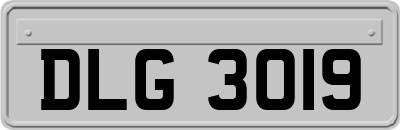 DLG3019