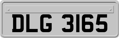 DLG3165