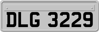 DLG3229