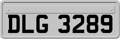 DLG3289