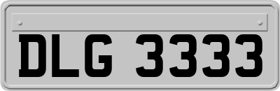 DLG3333