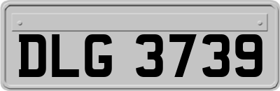 DLG3739