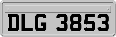 DLG3853