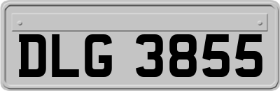 DLG3855