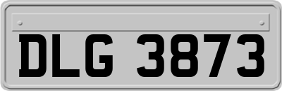 DLG3873