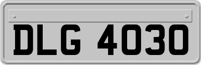 DLG4030
