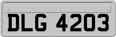 DLG4203