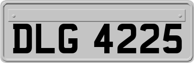 DLG4225
