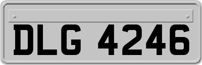 DLG4246