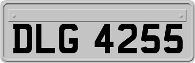 DLG4255