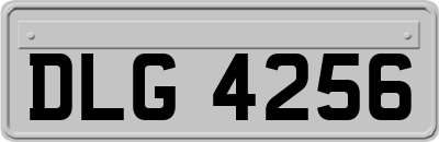 DLG4256
