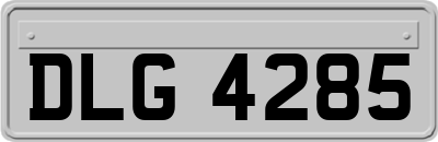DLG4285
