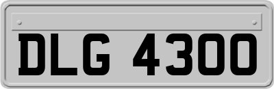 DLG4300