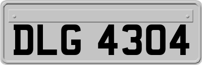 DLG4304