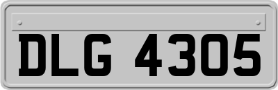 DLG4305