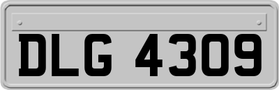 DLG4309