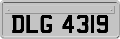 DLG4319