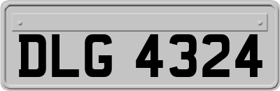 DLG4324