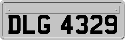 DLG4329