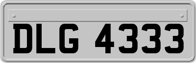 DLG4333