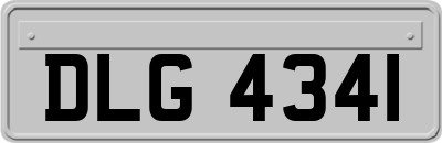 DLG4341