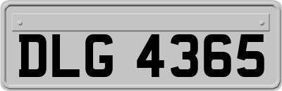 DLG4365