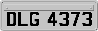 DLG4373