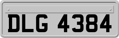 DLG4384