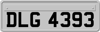 DLG4393