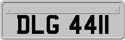 DLG4411