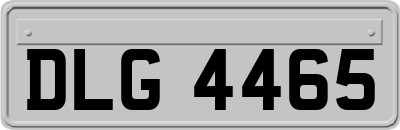 DLG4465