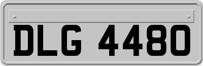 DLG4480