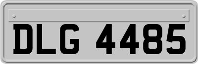 DLG4485