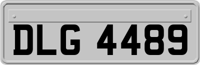 DLG4489