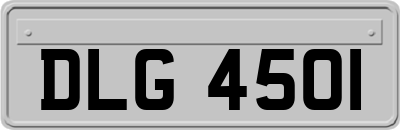 DLG4501