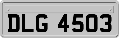 DLG4503