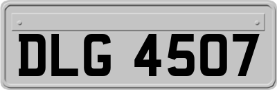 DLG4507