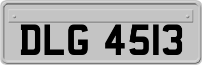 DLG4513