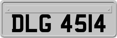 DLG4514