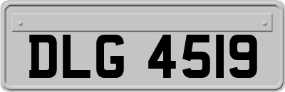 DLG4519