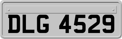 DLG4529