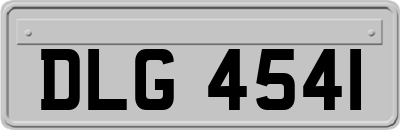 DLG4541
