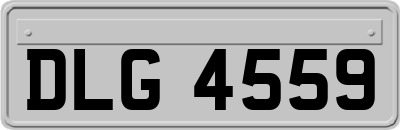 DLG4559