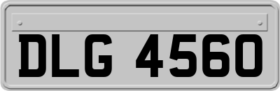 DLG4560