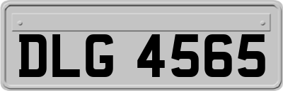 DLG4565
