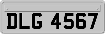 DLG4567